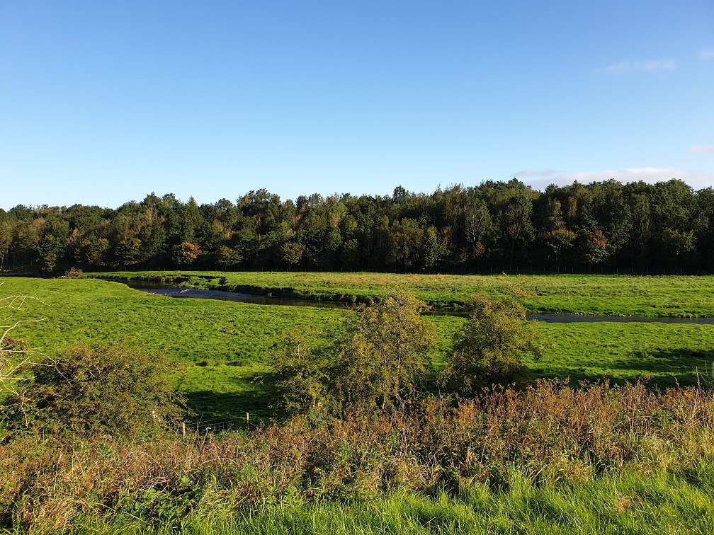 A field with the river flowing through the middle of it with a wood in the background